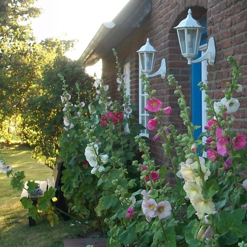 Haus Wolfram App Jonny Morsumer Kliff Morsum  Exterior photo